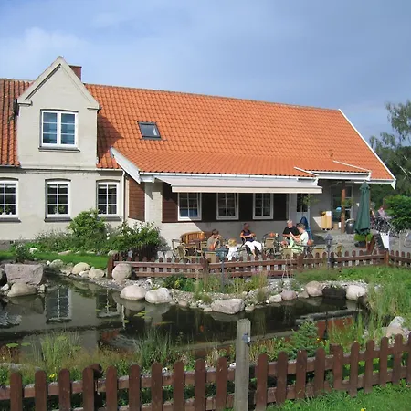 Lyngholt Familiecamping Campingplatz Allinge-Sandvig