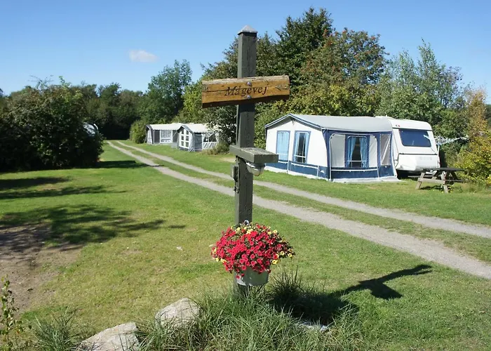 Lyngholt Familiecamping * Allinge-Sandvig