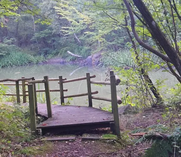 Lyngholt Familiecamping * Allinge-Sandvig